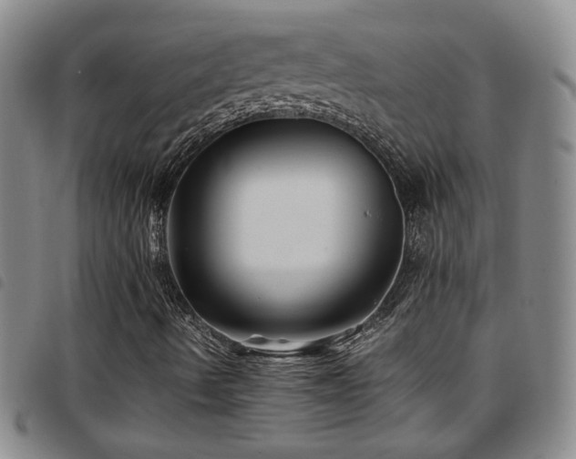 X0000097901490200803141343
