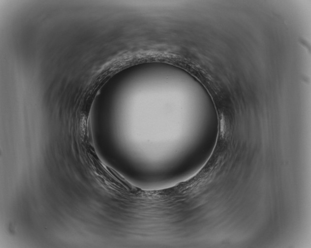 X0000097901492200803141343