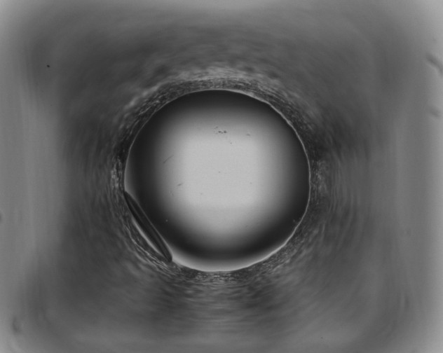 X0000097901493200803141343