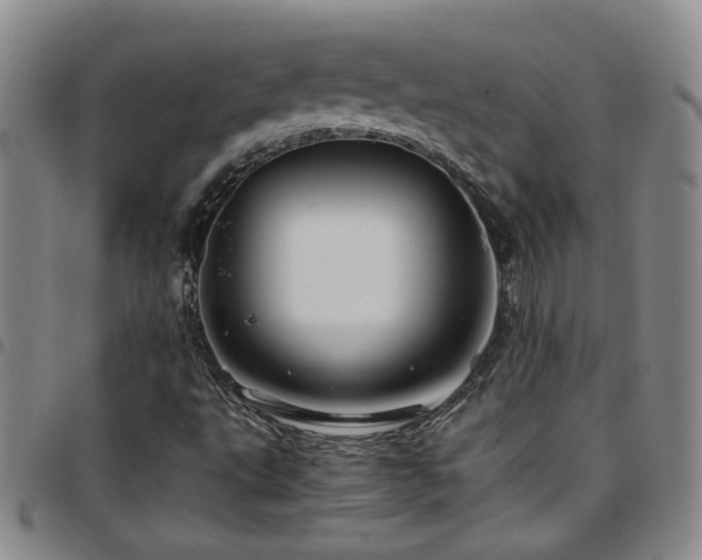 X0000097901495200803141343