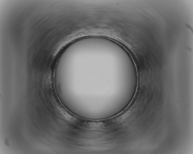 X0000097901498200803141343