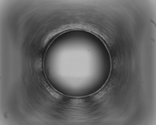 X0000097901499200803141343