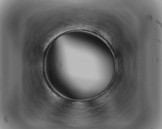 X0000097901500200803141343
