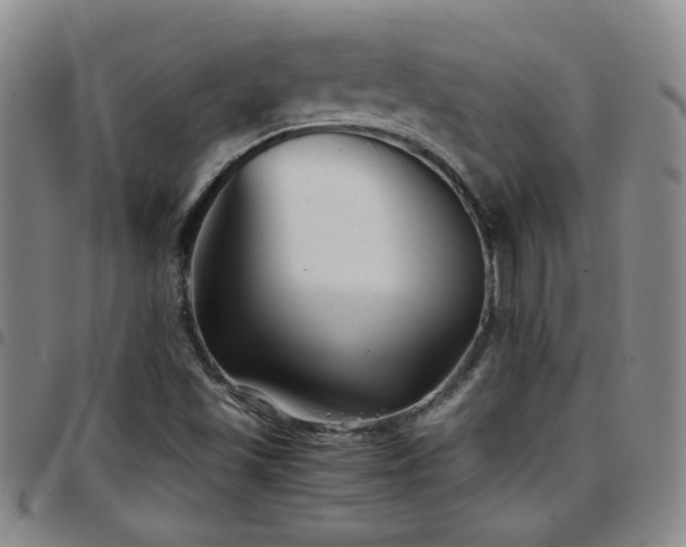 X0000097901501200803141343