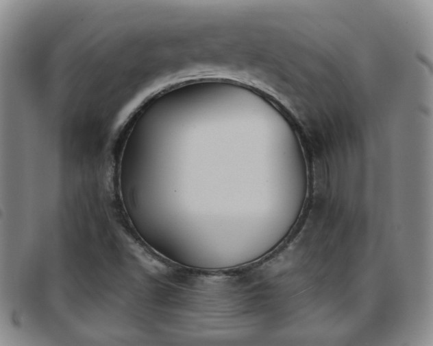 X0000097901502200803141343