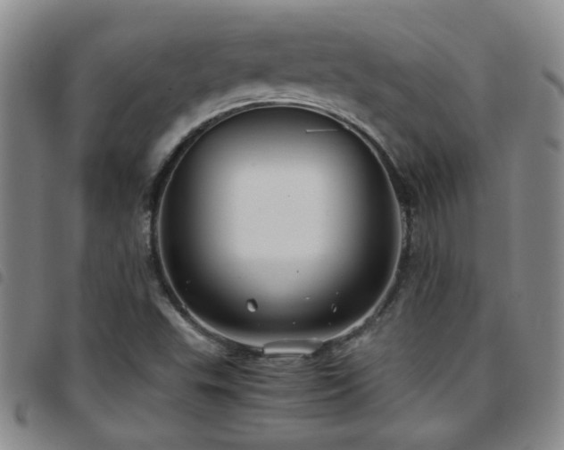 X0000097901503200803141343