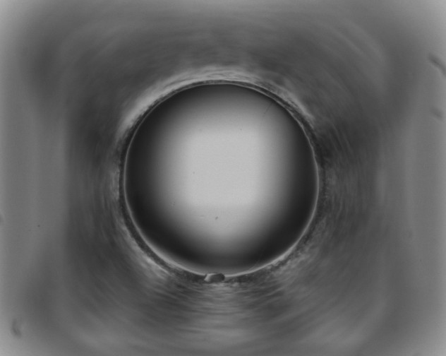 X0000097901504200803141343