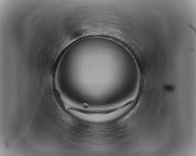 X0000097901505200803141343