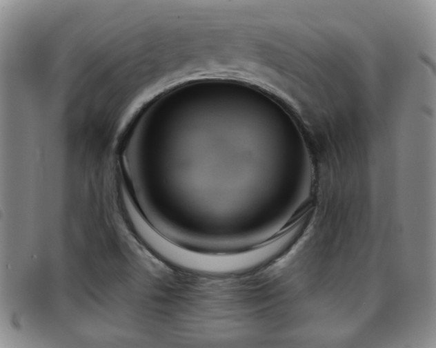 X0000097901506200803141343