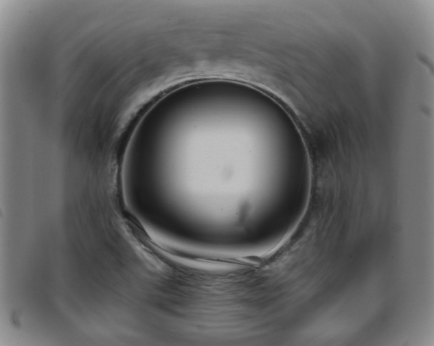 X0000097901507200803141343