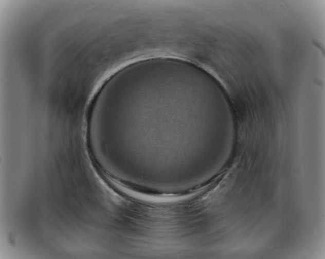 X0000097901508200803141343
