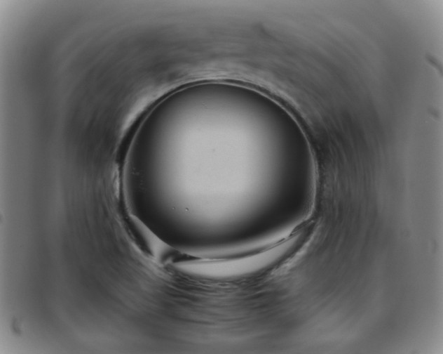 X0000097901509200803141343