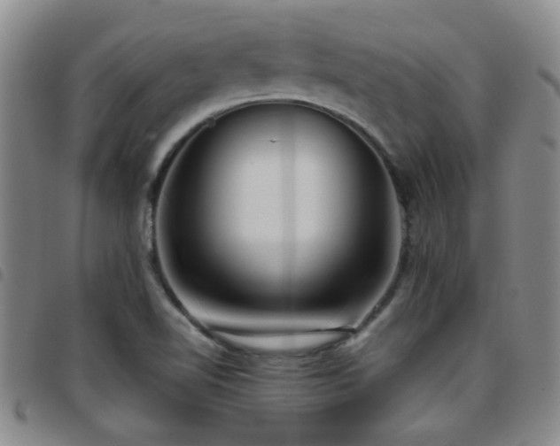 X0000097901510200803141343