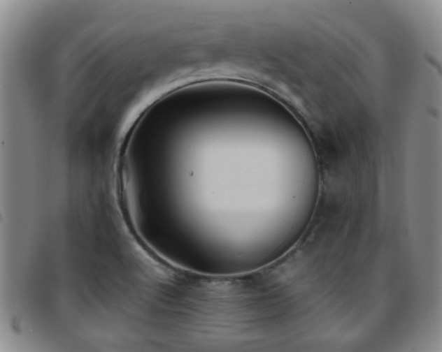 X0000097901512200803141343