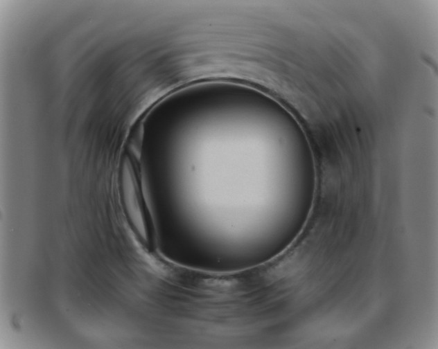 X0000097901513200803141343