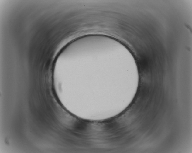 X0000097901514200803141343