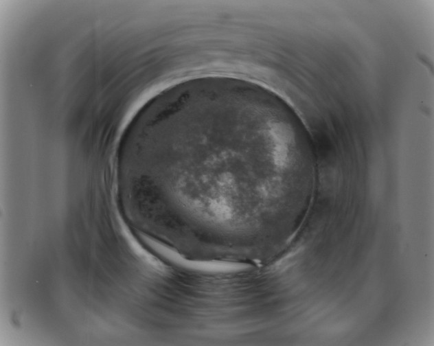 X0000097901515200803141343