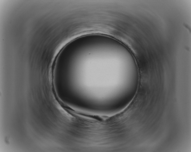 X0000097901516200803141343