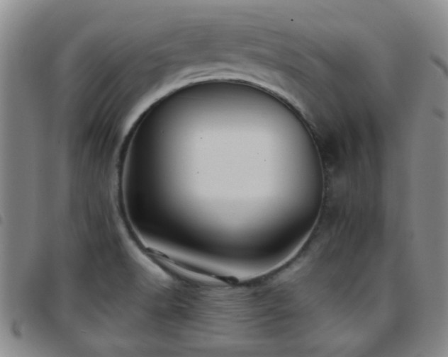 X0000097901518200803141343