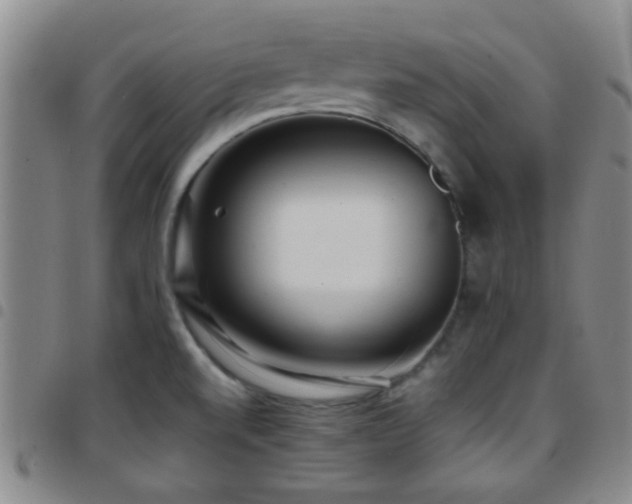 X0000097901520200803141343