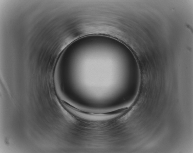 X0000097901521200803141343