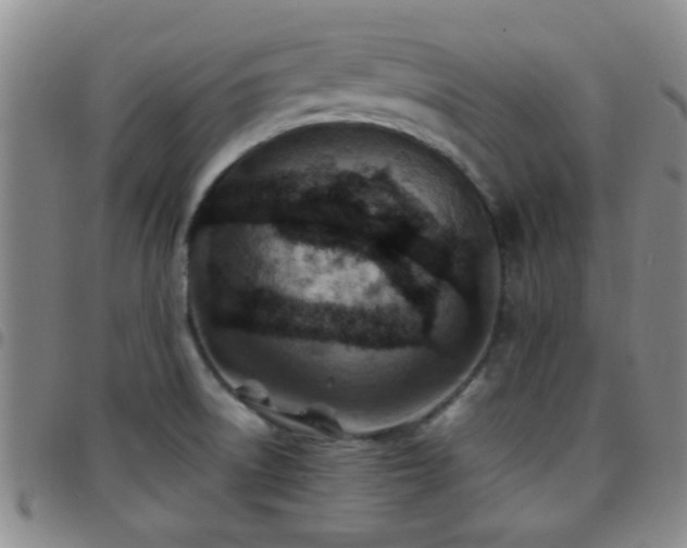 X0000097901522200803141343