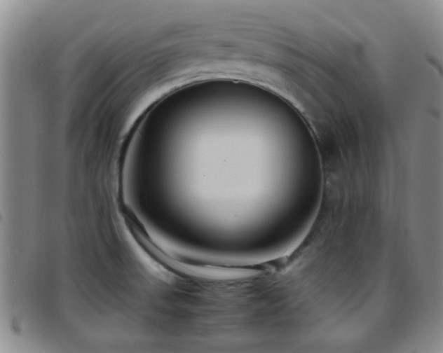 X0000097901523200803141343