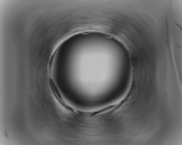 X0000097901524200803141343