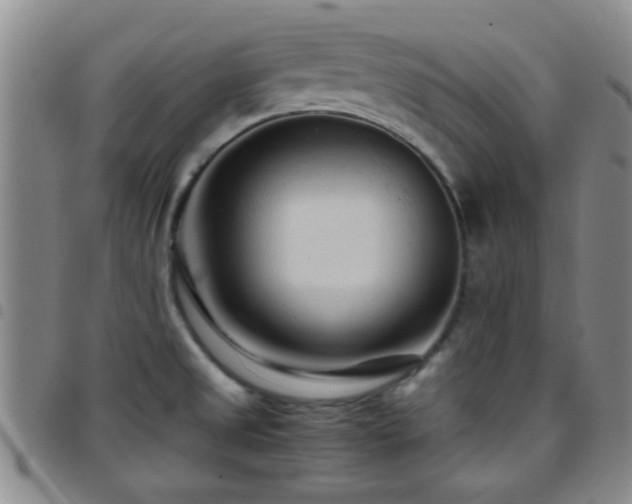X0000097901525200803141343