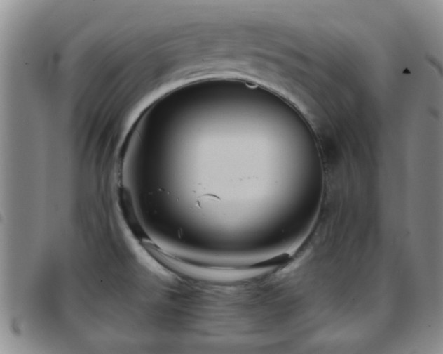 X0000097901526200803141344