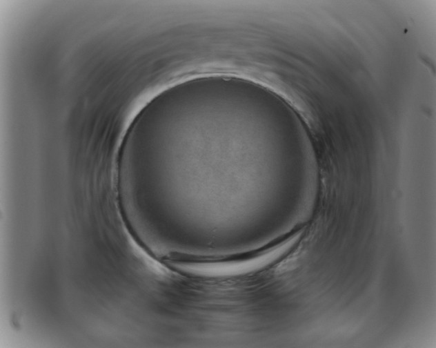 X0000097901527200803141344