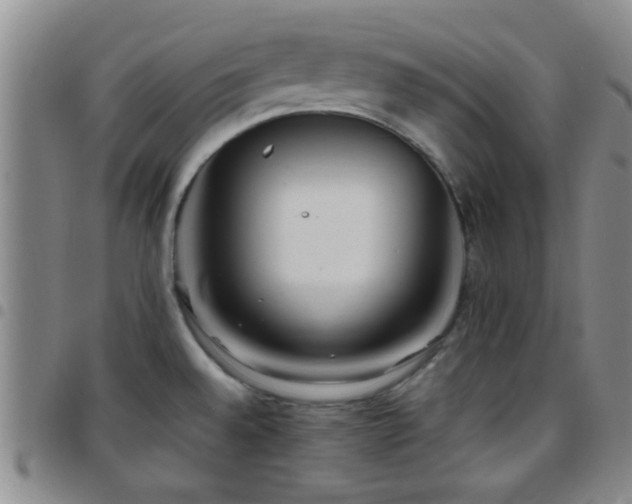 X0000097901528200803141344