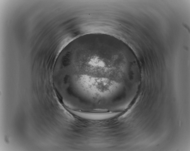 X0000097901529200803141344