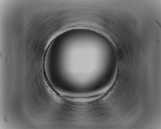 X0000097901530200803141344