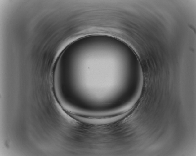 X0000097901531200803141344