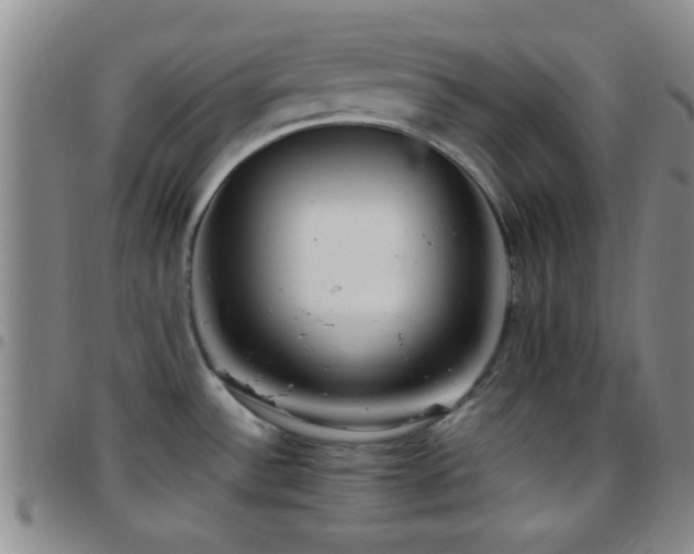 X0000097901532200803141344