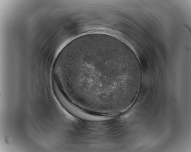 X0000097901533200803141344