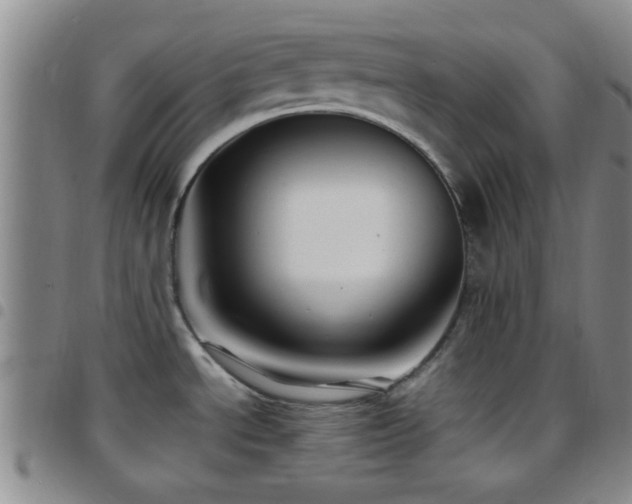 X0000097901534200803141344