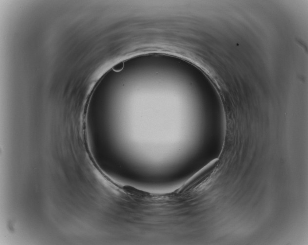 X0000097901535200803141344