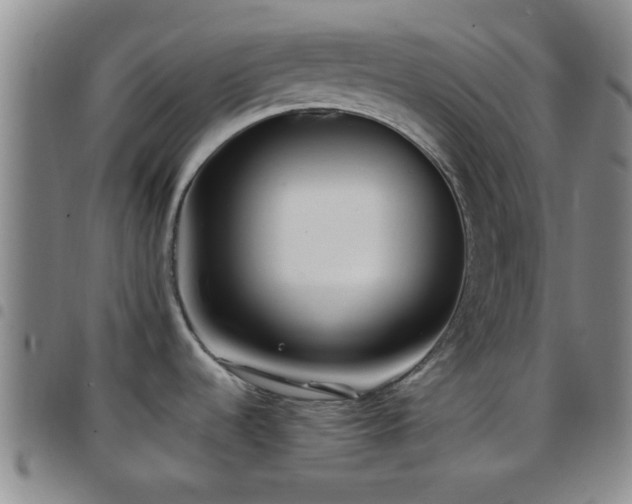 X0000097901536200803141344