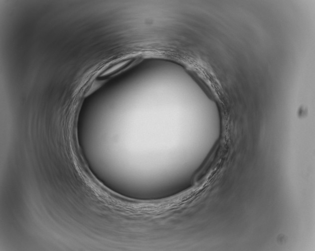 X0000097900001200803211452