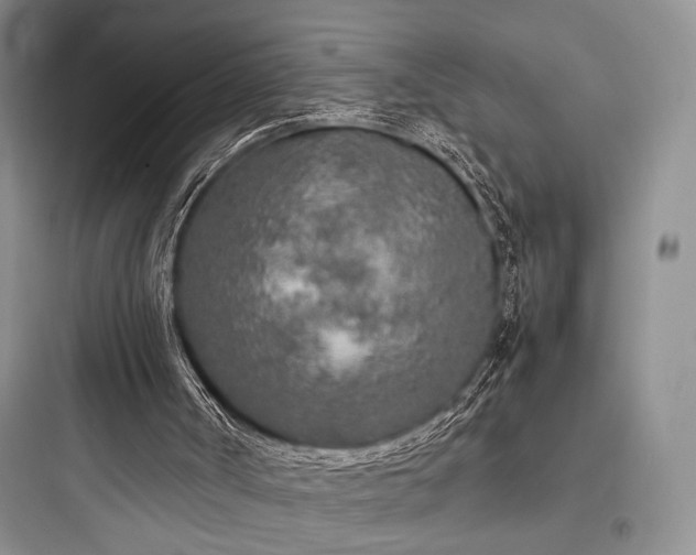 X0000097900002200803211452