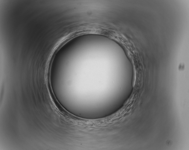 X0000097900003200803211452