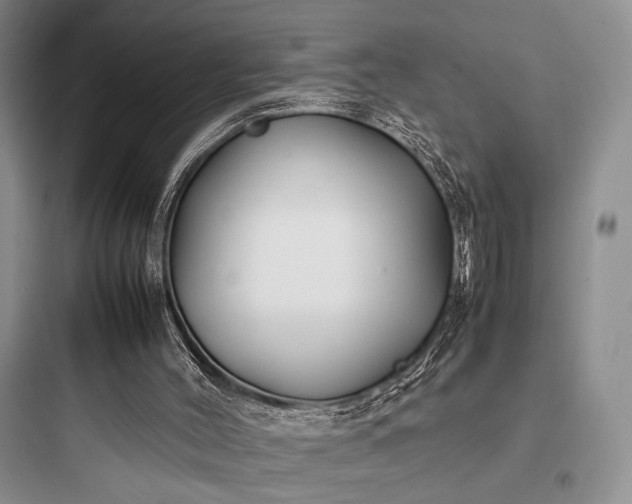 X0000097900004200803211452