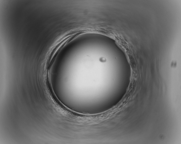 X0000097900005200803211452