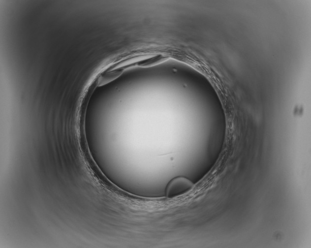 X0000097900006200803211452