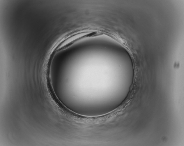 X0000097900007200803211452