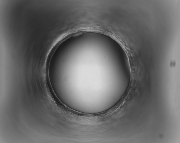X0000097900008200803211452