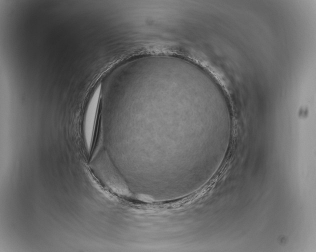 X0000097900009200803211452