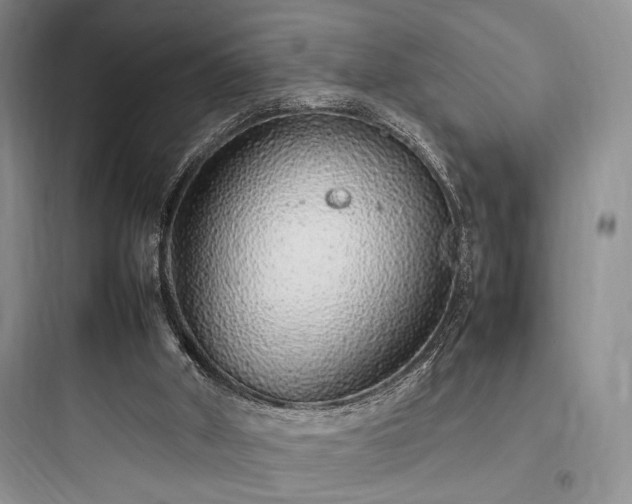X0000097900010200803211452